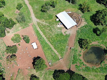 Fazenda diamante do sul